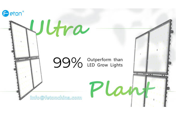led grow lamp manufacturer
