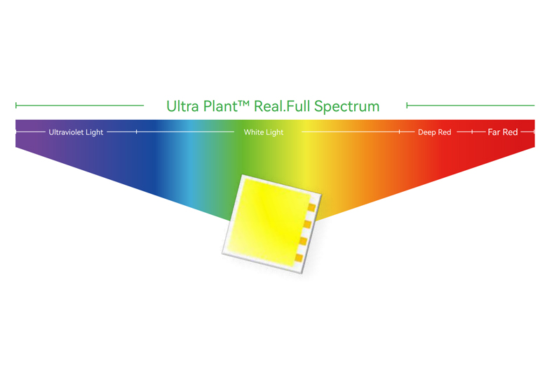 Adjustable Grow Light