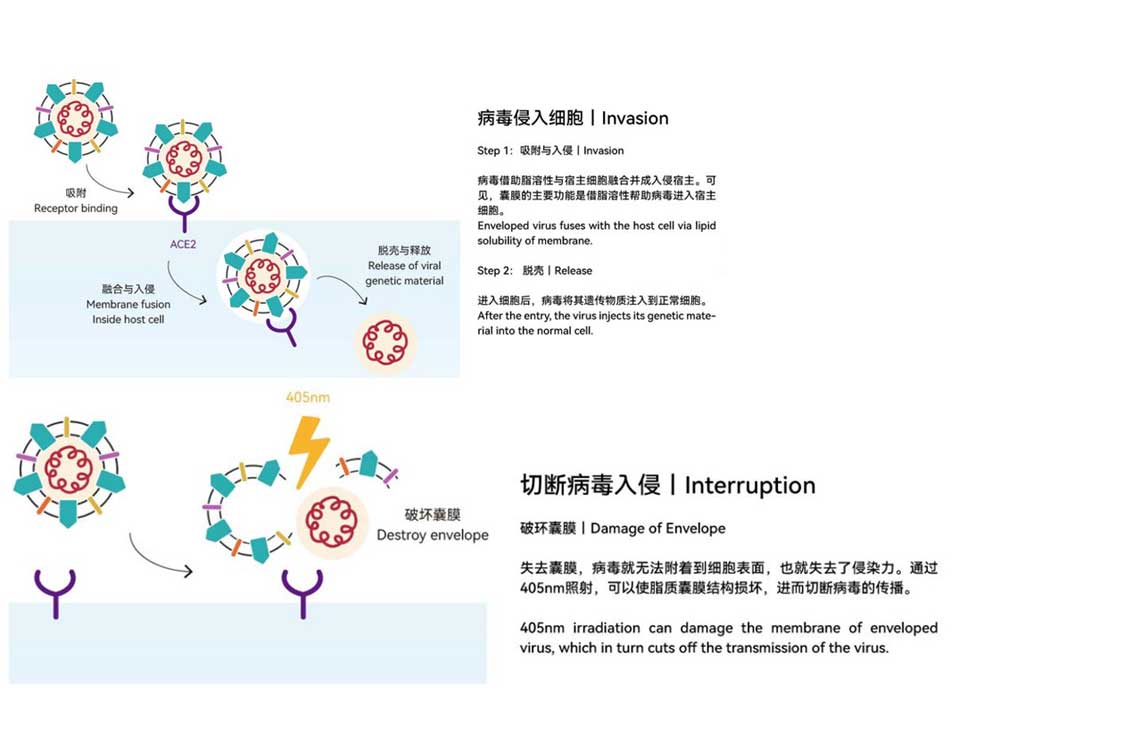 How Feton LED Antimicrobial Light Works