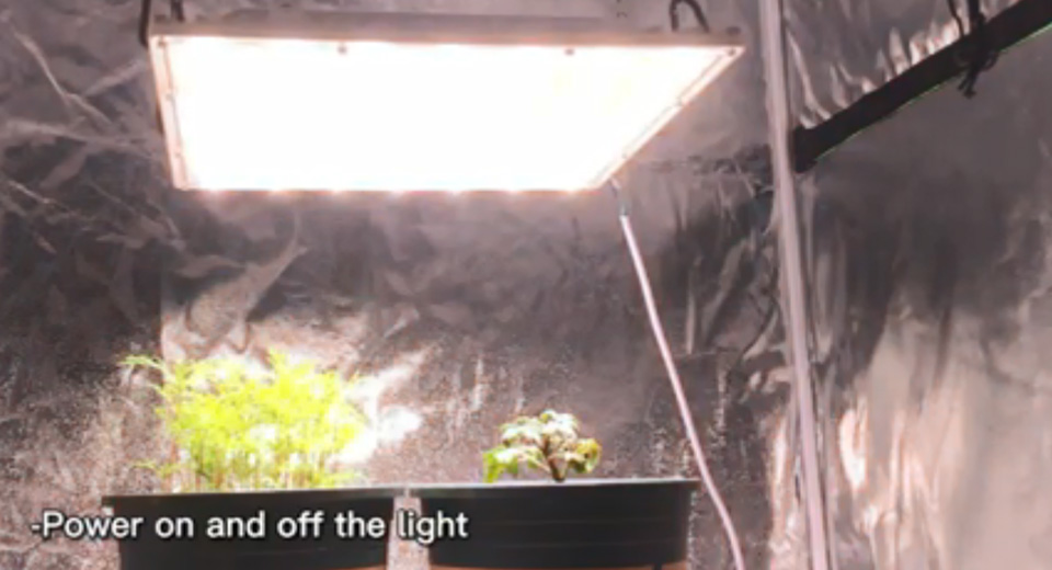 How 600w Led Grow Light Smart Control Works