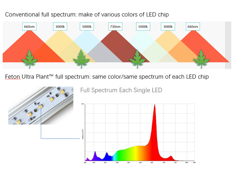 How LED Growing Light Work for Indoor Farm?