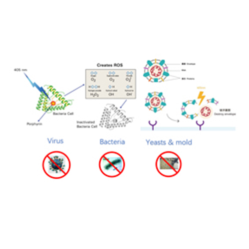 How Does LED Antimicrobial Light Kill Bacteria？