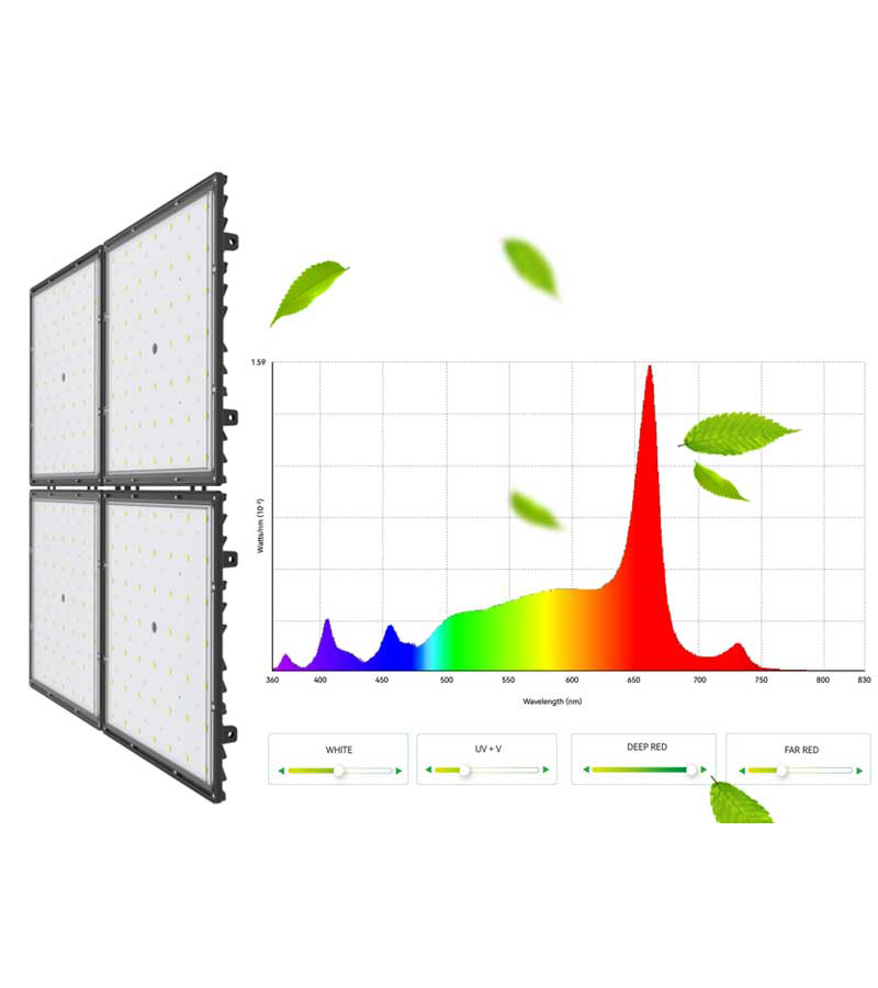 How to Choose LED Grow Light  for Greeenhouse